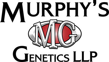 Murphys Genetics logo
